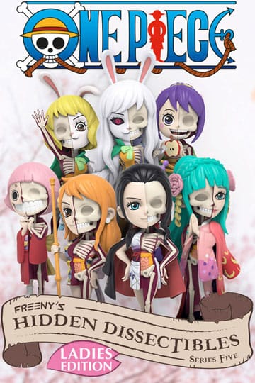Mighty jaxx - One Piece - Blind Box - Hidden Dissectibles (Series 5 Ladies Edition)