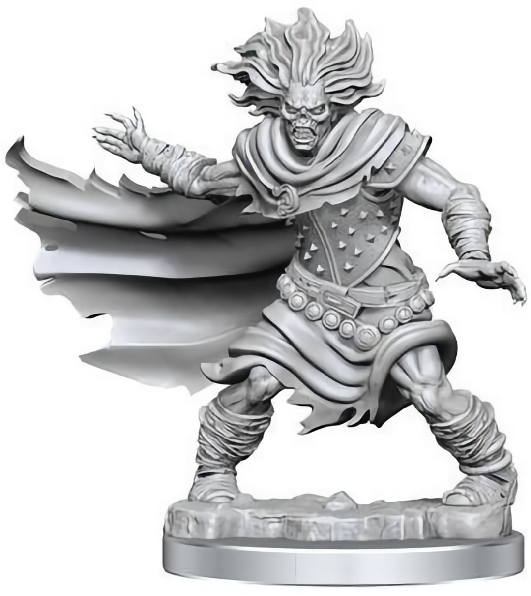 Dungeons & Dragons - Frameworks Miniature Model Kit - Wight SVV-Schatzoekers
