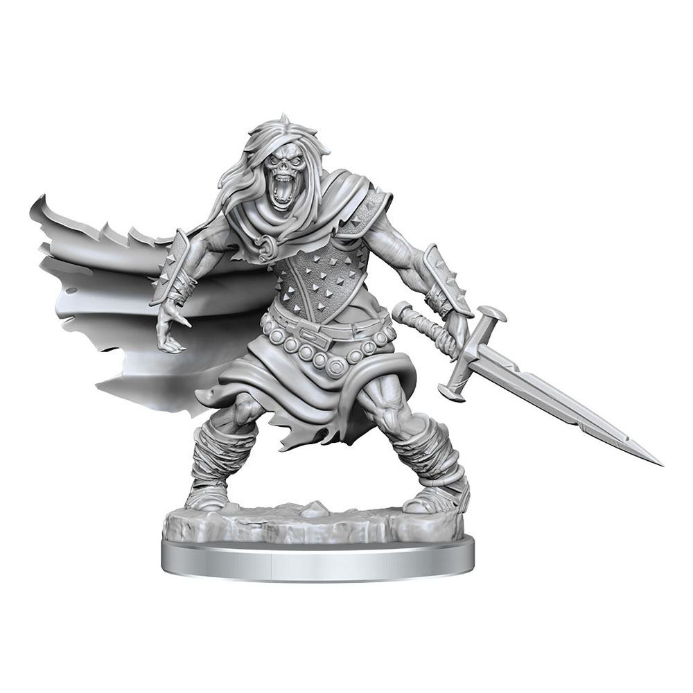 Dungeons & Dragons - Frameworks Miniature Model Kit - Wight SVV-Schatzoekers