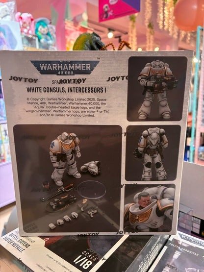 Joytoy - Warhammer 40k - Space Marines White Consuls Intercessors 1 (1/18 12cm)