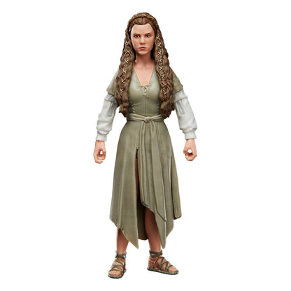 Hasbro - Star Wars Black Series - Return of The Jedi - Princess Leia (Ewok Village) (2022)
