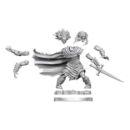 Dungeons & Dragons - Frameworks Miniature Model Kit - Wight SVV-Schatzoekers