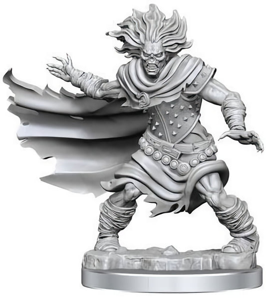 Dungeons & Dragons - Frameworks Miniature Model Kit - Wight SVV-Schatzoekers
